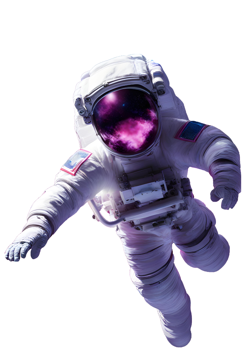 IT astronaut 1